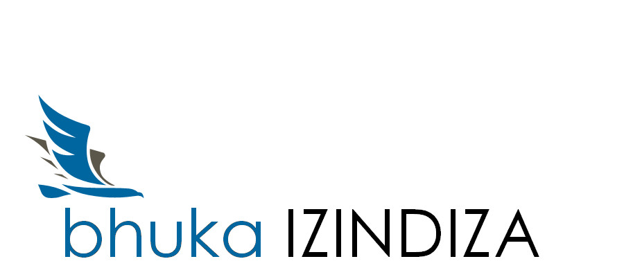 Izindiza.com